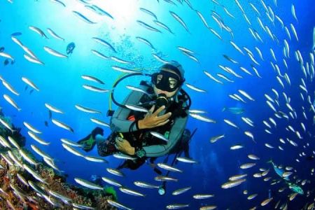 Top Places for Scuba Diving in Goa: Explore the Best Diving Spots