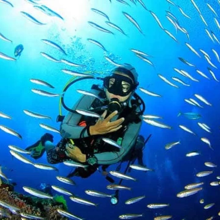 Top Places for Scuba Diving in Goa: Explore the Best Diving Spots