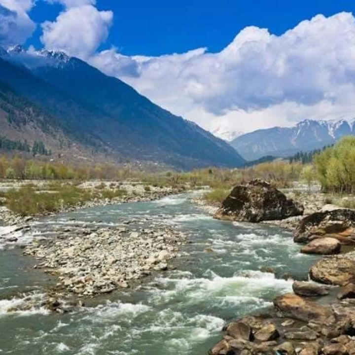 Exploring the Natural Wonders of India: A Journey through India's Best Nature Destinations