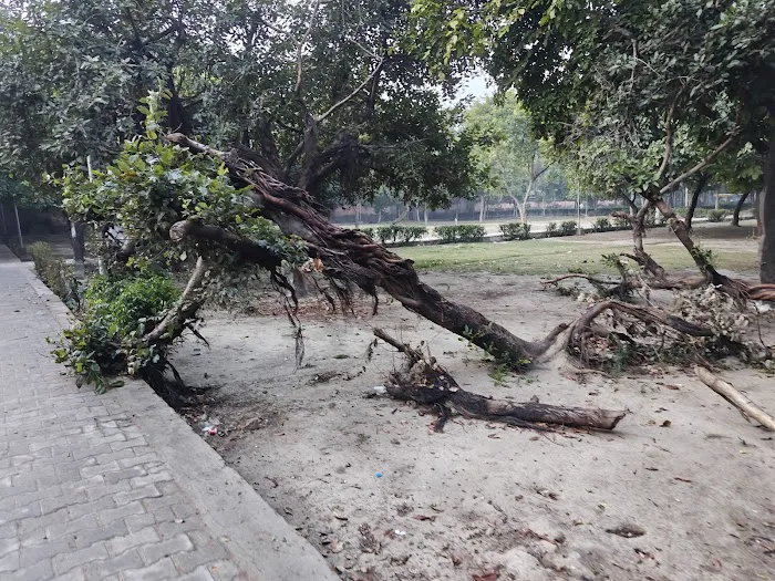 DDA PARK - 0