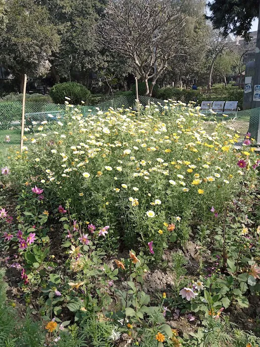 DDA PARK - 5
