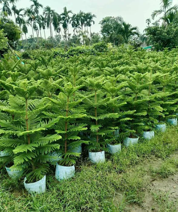 KGN Nursery - 4