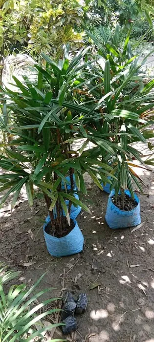 KGN Nursery - 0