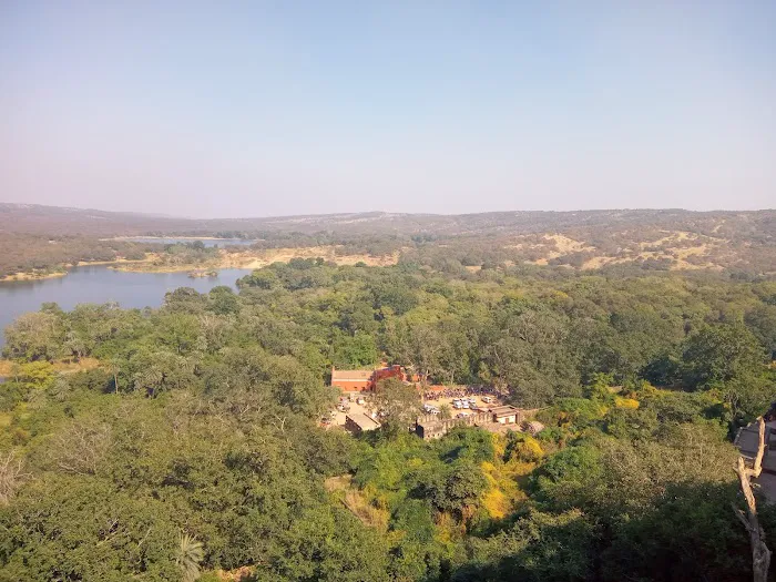 Ranthambore Safari Booking - 5