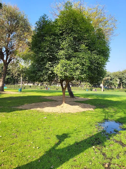 Center Park,Sec-5,Pushp Vihar - 8