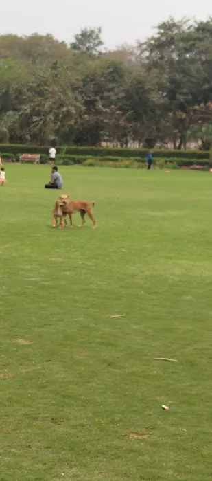 Ajay Park - 1