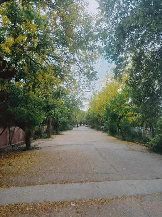 CPWD Model Park Sector-5, Pushp Vihar, New Delhi - 0