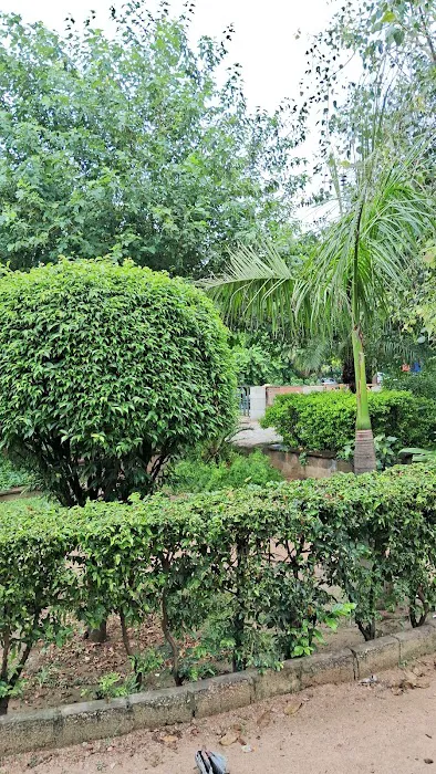 DDA Satpula Lake Complex - 2
