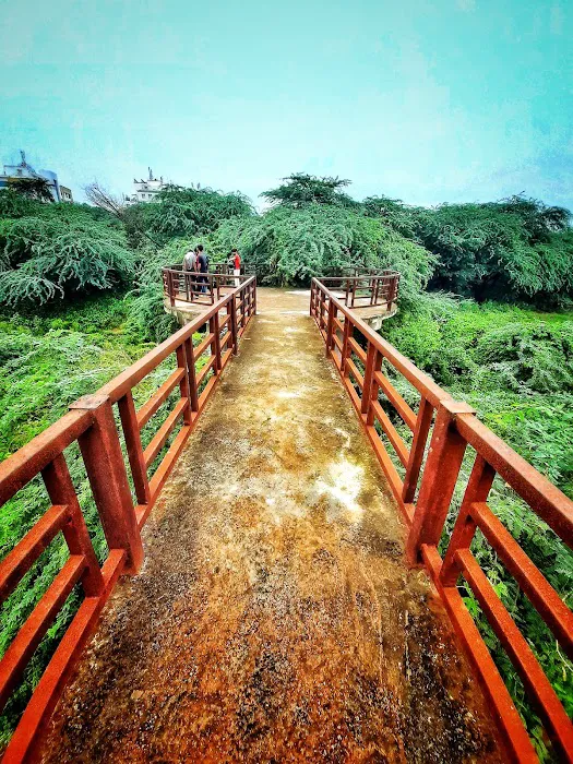 DDA Satpula Lake Complex - 6