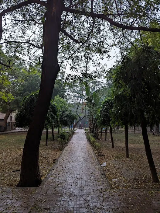 A222 Shivalik Sharma Park(MCD Park) - 4