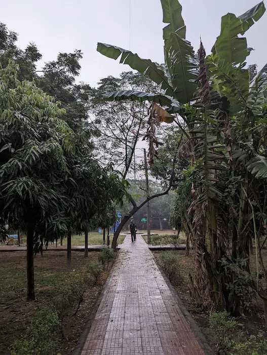 A222 Shivalik Sharma Park(MCD Park) - 5