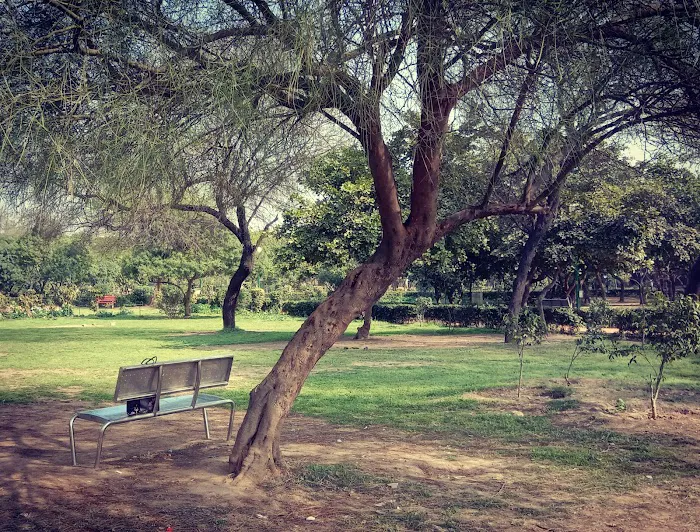 DDA park - 2