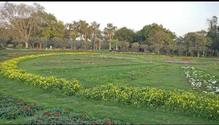 National Parks India - 8