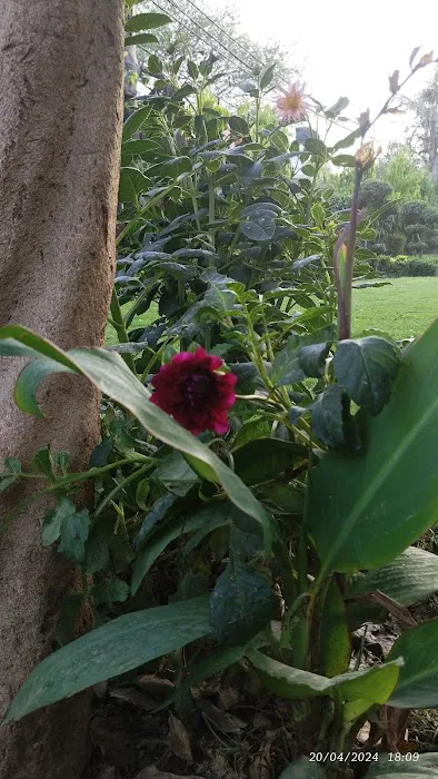 Haji Abbas Park - 6