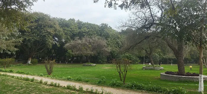 Raipithora Cultural Complex - 9
