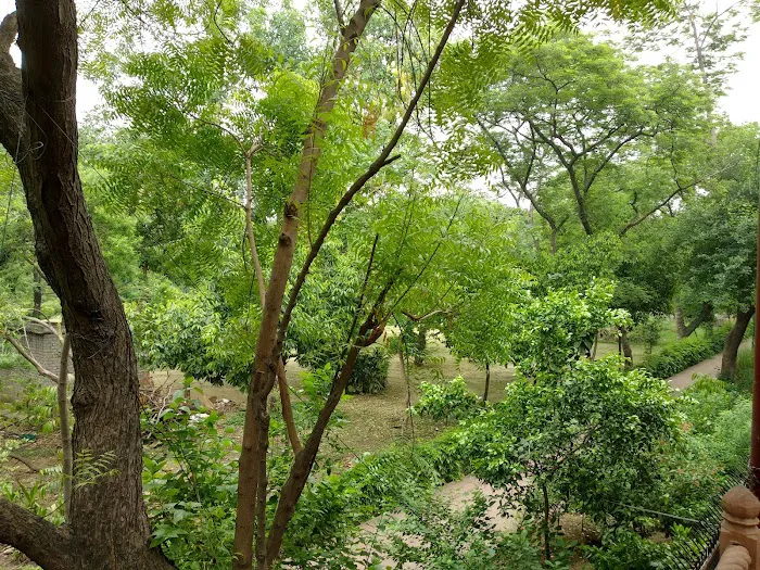 Thakur Vatika - 8
