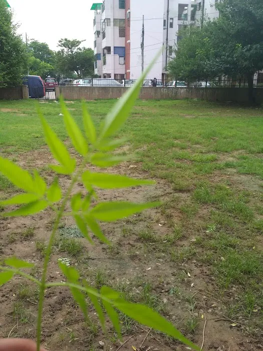 Duk Duk Park - 1