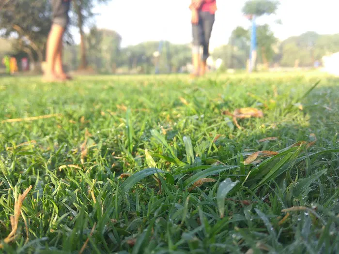 Duk Duk Park - 3
