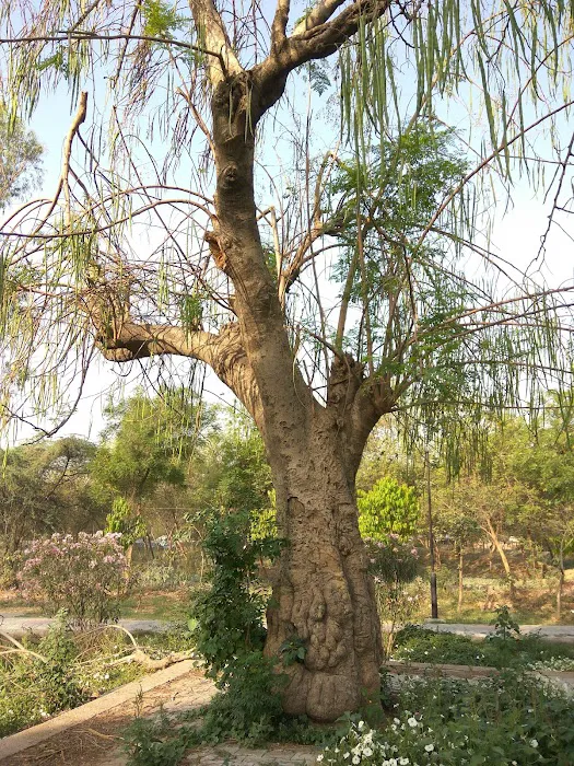 Duk Duk Park - 8