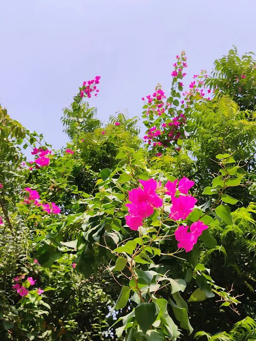G Block Park - 4