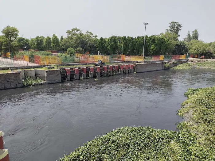 Okhla Head Park - 3