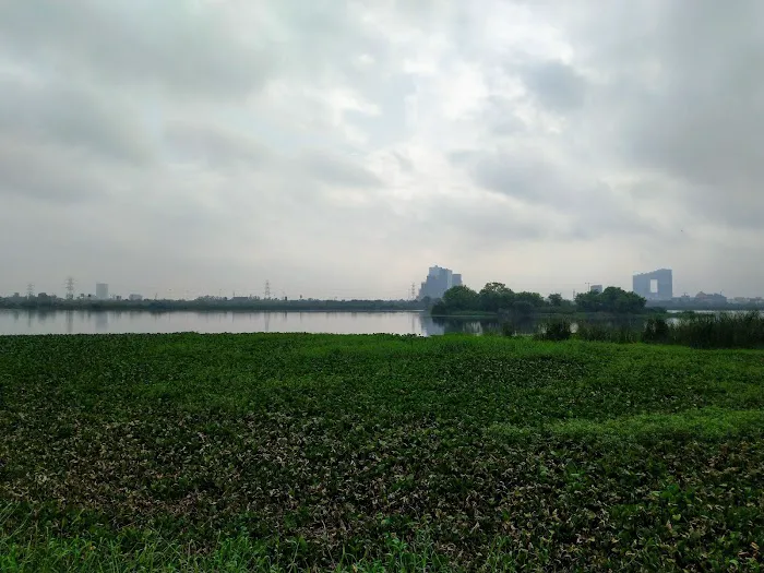 Okhla Head Park - 4