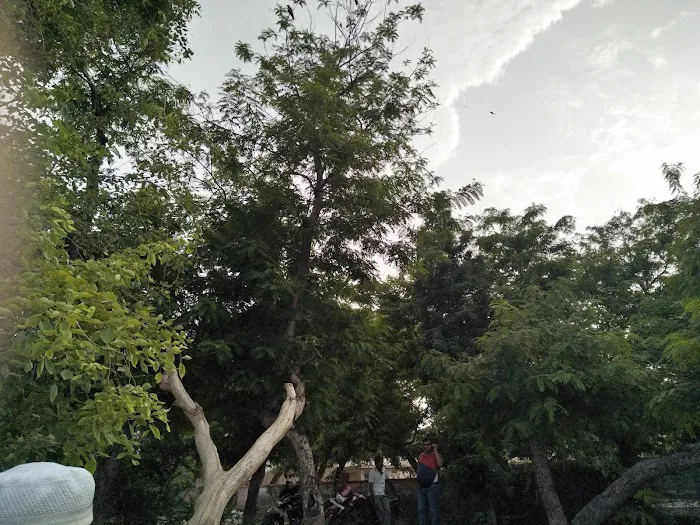 Okhla Head Park - 6