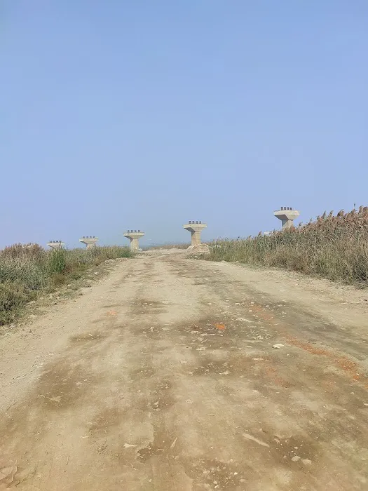 South Delhi Bio Diversity Park - 0