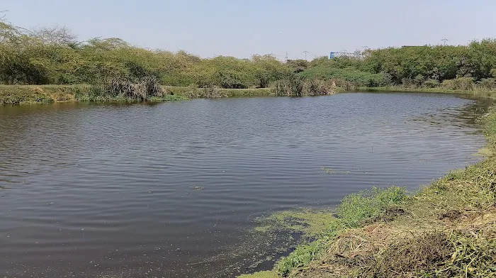 Kalindi Biodiversity Park (DDA) - 1