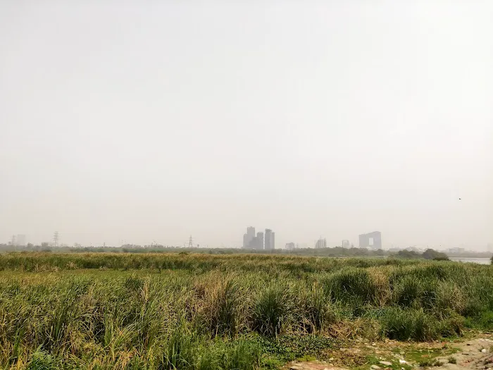 Kalindi Biodiversity Park (DDA) - 5