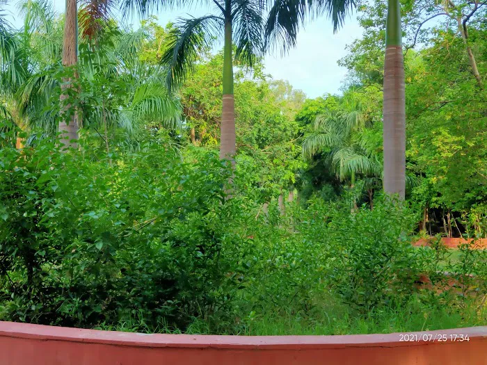 Mansarovar Park, Noida - 1