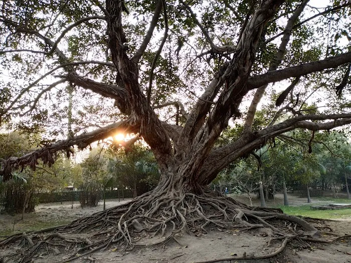 Mansarovar Park, Noida - 3