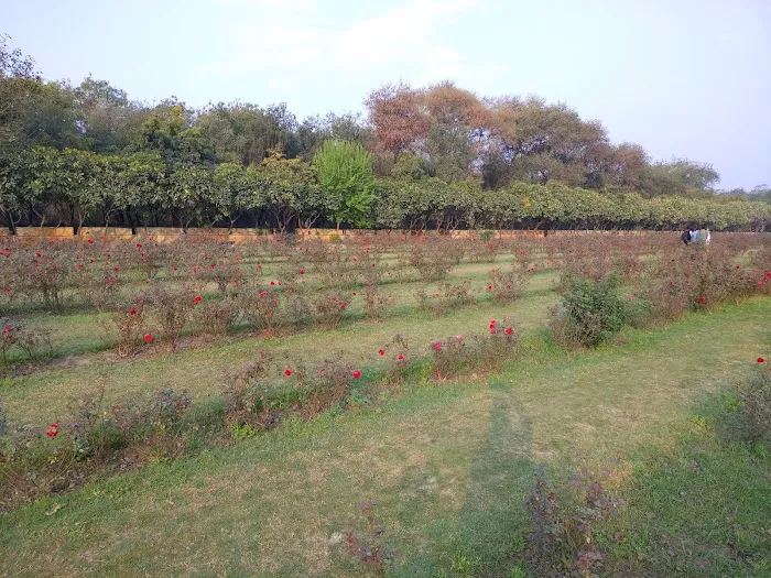 Mansarovar Park, Noida - 4