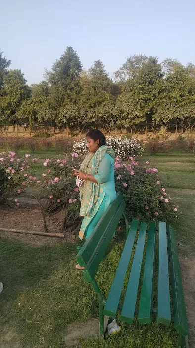 Rose Garden - 1