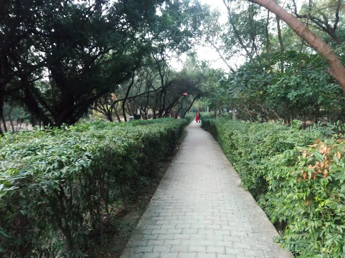 Rose Garden - 4