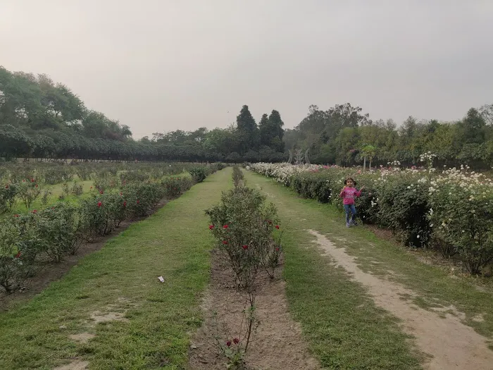 Gate No 2 Gautam Budh Park Noida - 2