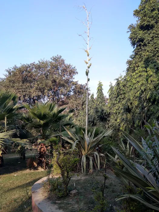 Gate No 2 Gautam Budh Park Noida - 9