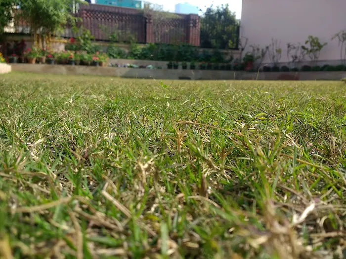 Children's Park - 1