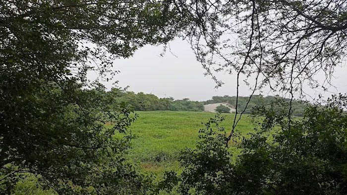 Yamuna River Bank, Jamia Nagar - 2