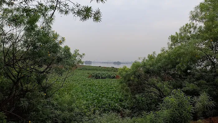 Yamuna River Bank, Jamia Nagar - 6