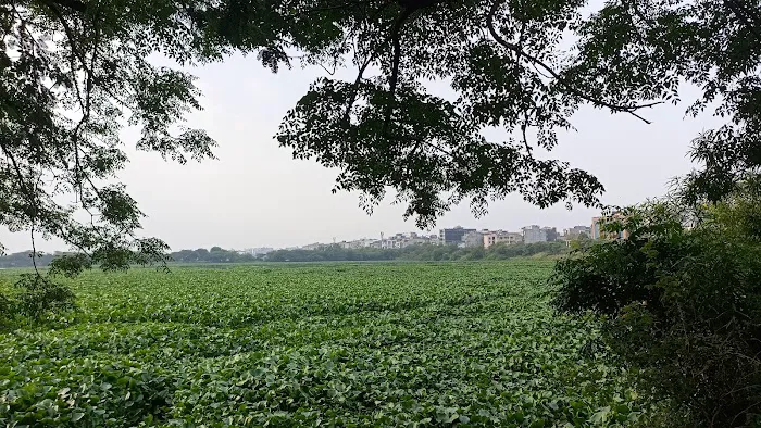 Yamuna River Bank, Jamia Nagar - 5