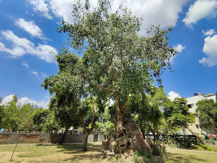 Master Budhan Singh Park - 8