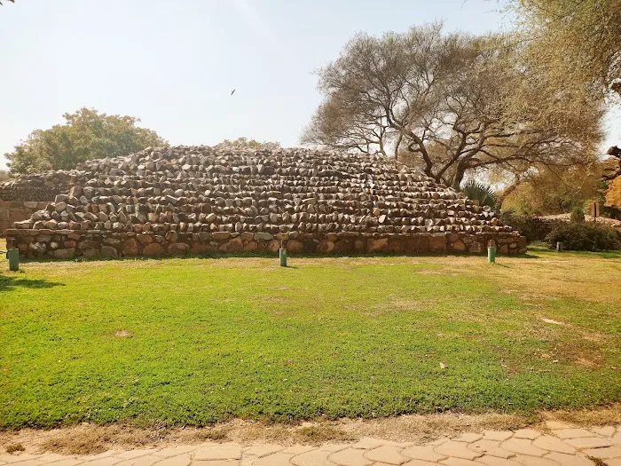 Qila Rai Pithora Park - 8
