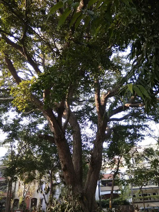 Radha Raman Park - 5