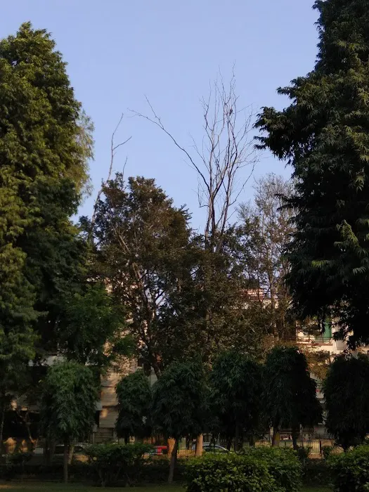 Radha Raman Park - 3