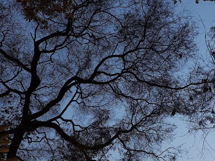 SHIVAJI PARK - 4