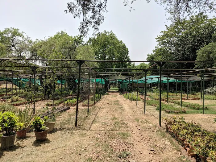 SHIVAJI PARK - 8