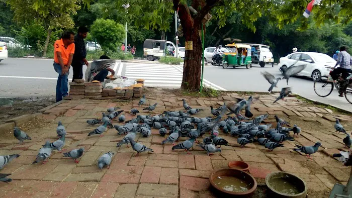 Said Ul Ajaib Park - 1