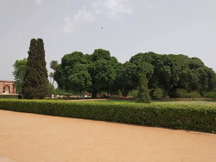 Said Ul Ajaib Park - 0