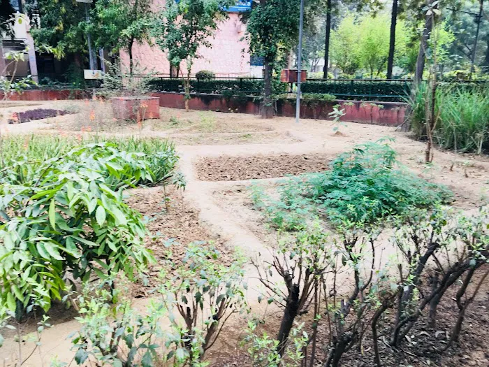 Herbal Garden - 1